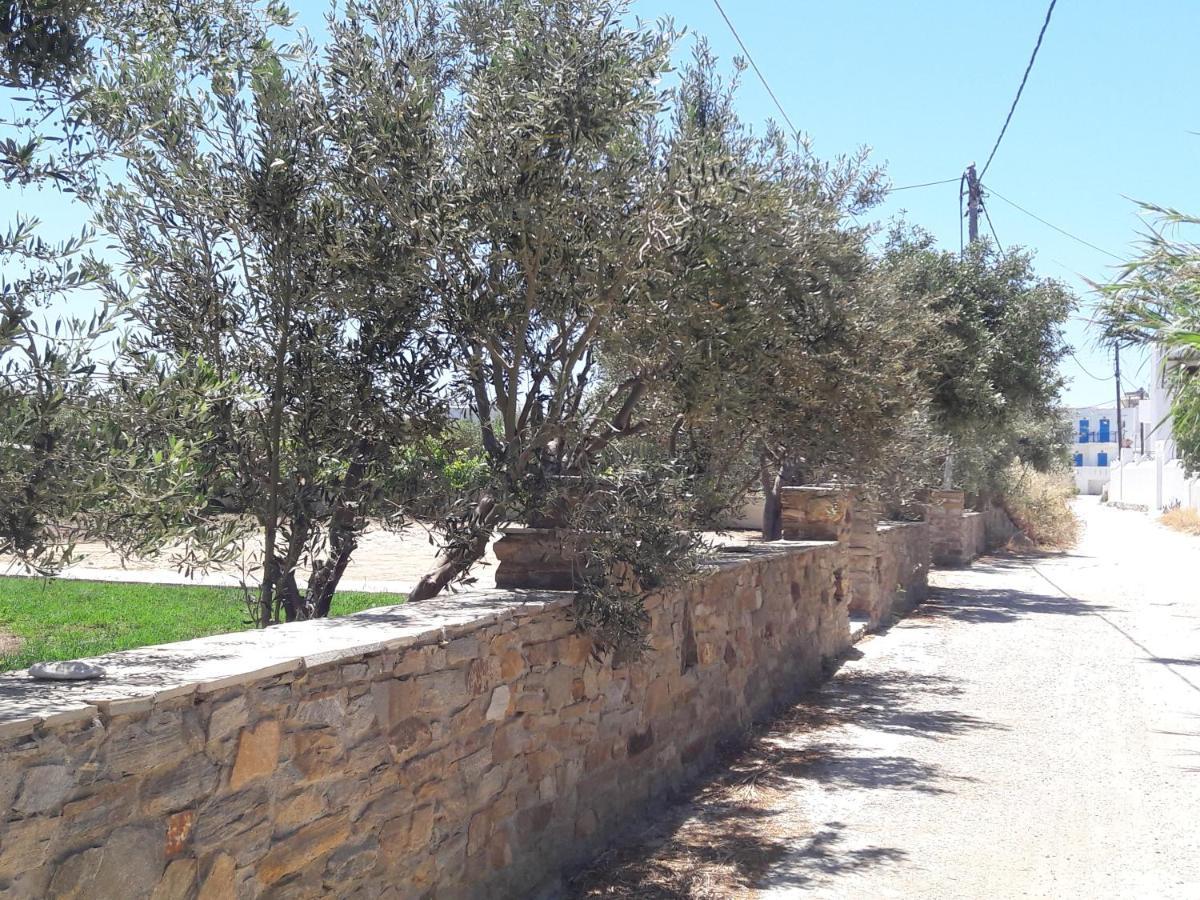 Elpidas Studios Agia Anna  المظهر الخارجي الصورة