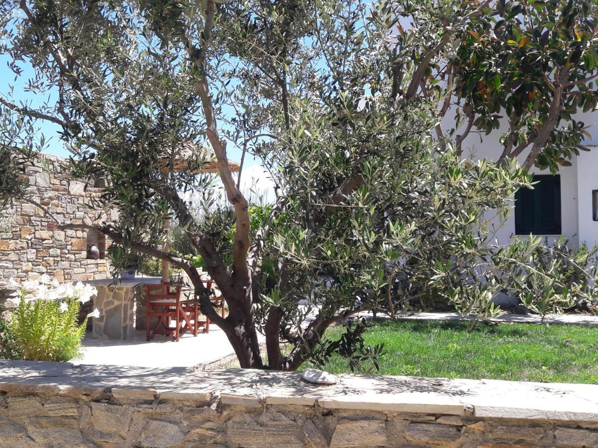 Elpidas Studios Agia Anna  المظهر الخارجي الصورة
